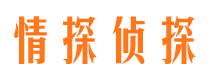 平果寻人公司